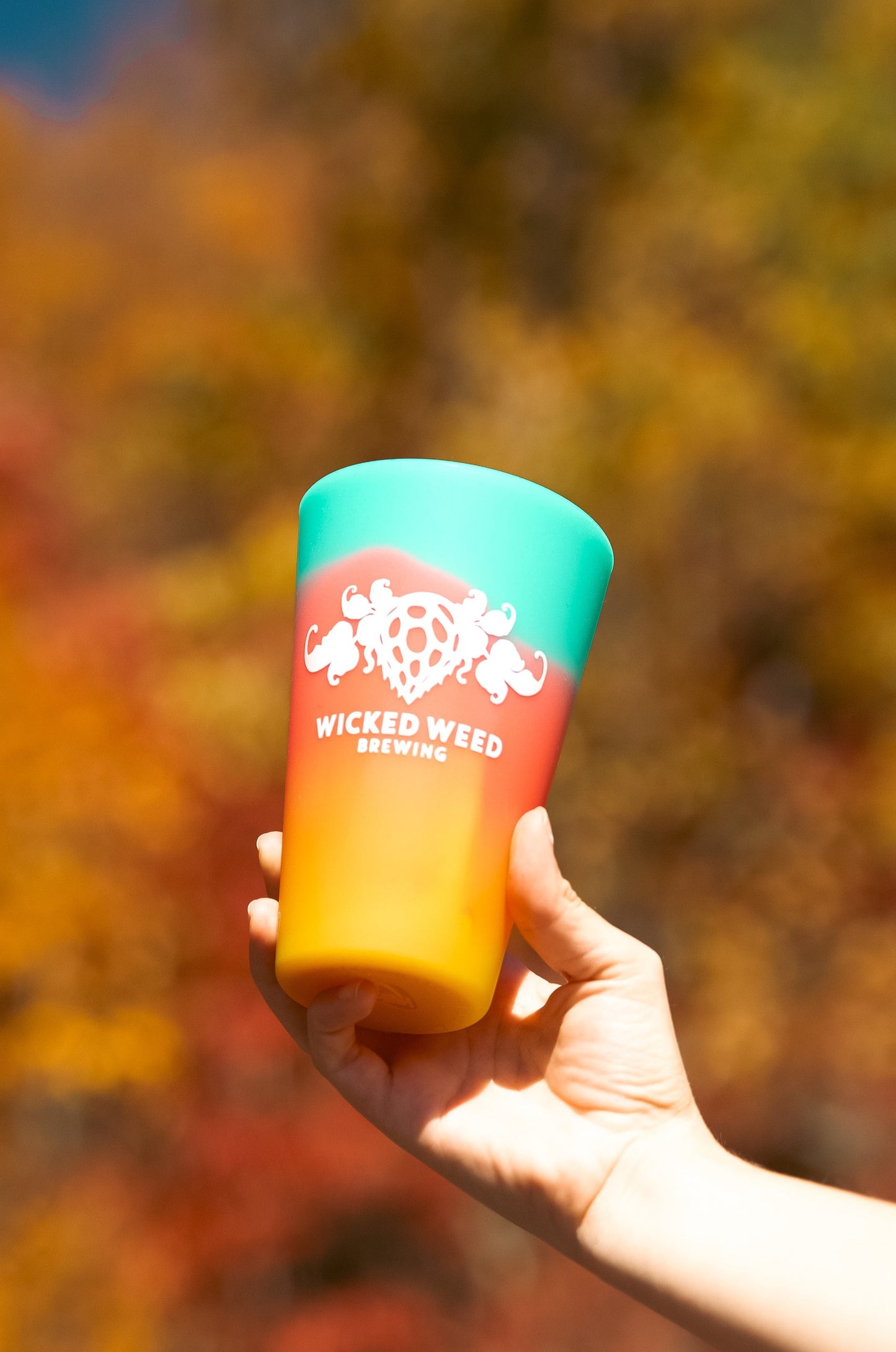 Multicolor Sili Pint