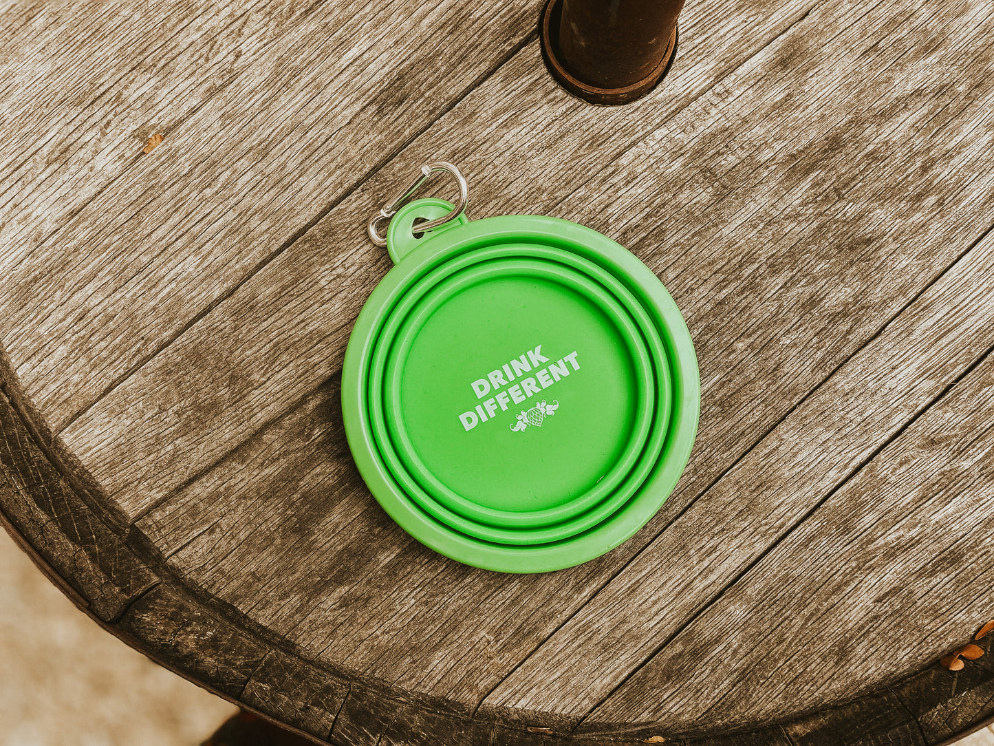Collapsible Dog Bowl