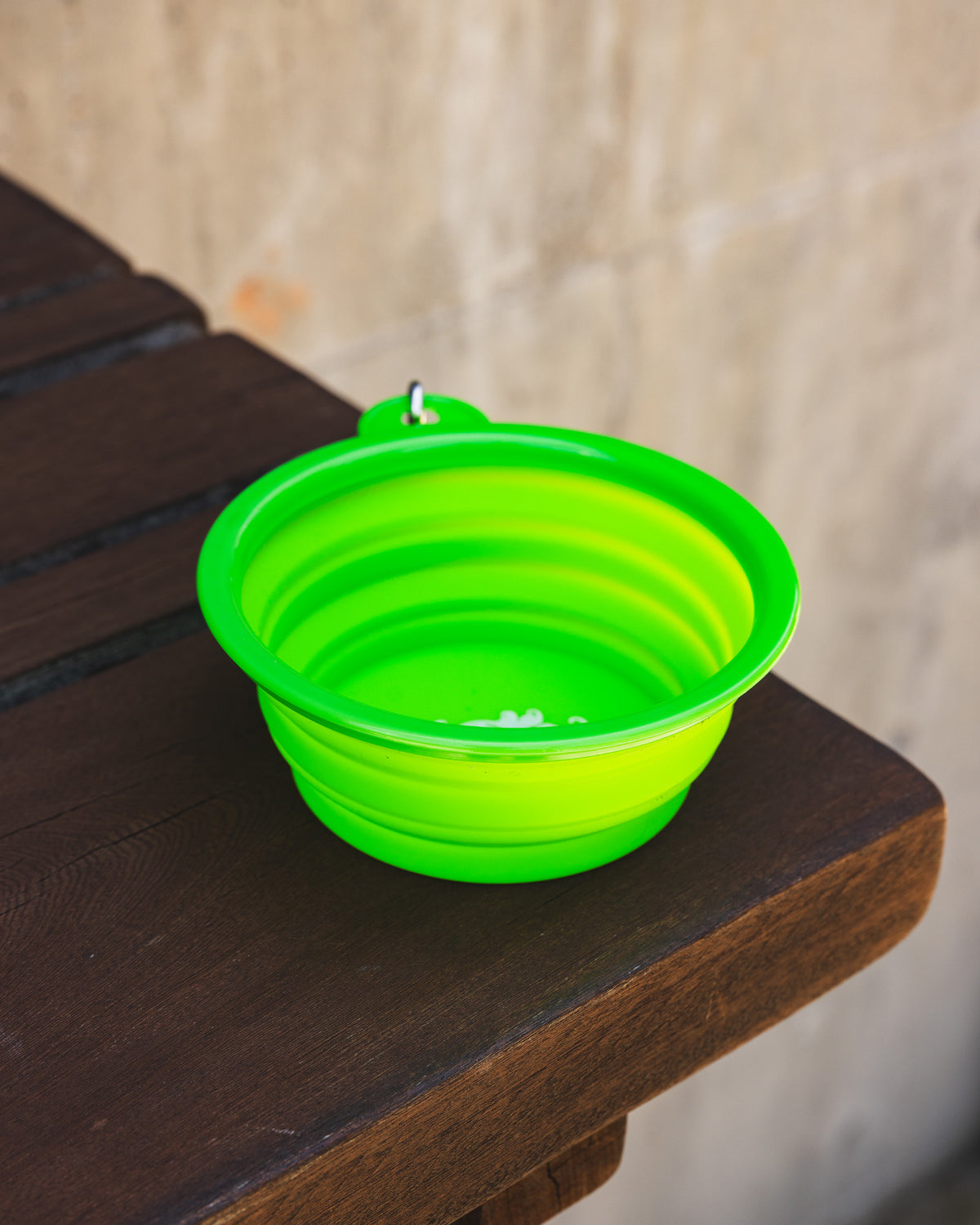 Collapsible Dog Bowl
