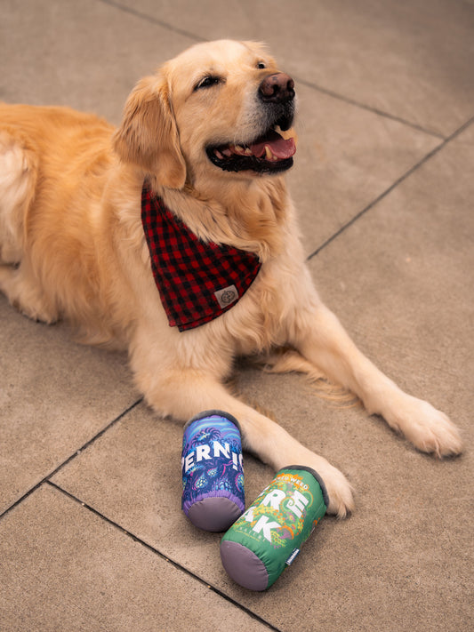 Plush Dog Toy